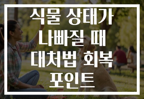 식물 상태가 나빠질 때 대처법 회복 포인트
