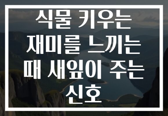 식물 키우는 재미를 느끼는 때 새잎이 주는 신호