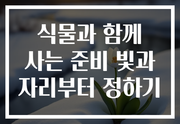 식물과 함께 사는 준비 빛과 자리부터 정하기