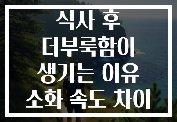 식사 후 더부룩함이 생기는 이유 소화 속도 차이