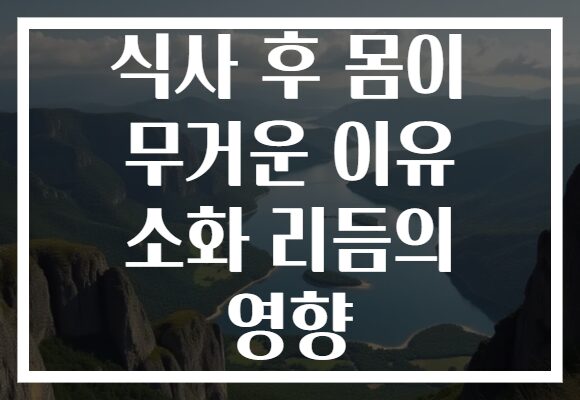 식사 후 몸이 무거운 이유 소화 리듬의 영향