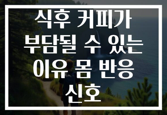 식후 커피가 부담될 수 있는 이유 몸 반응 신호
