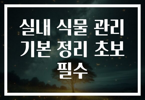 실내 식물 관리 기본 정리 초보 필수