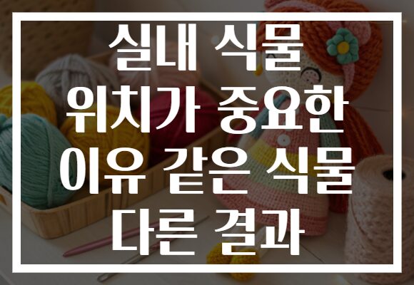 실내 식물 위치가 중요한 이유 같은 식물 다른 결과