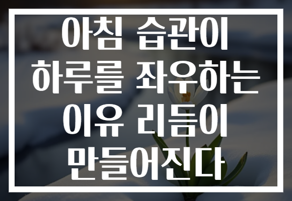 아침 습관이 하루를 좌우하는 이유 리듬이 만들어진다