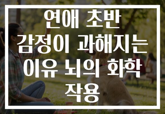 연애 초반 감정이 과해지는 이유 뇌의 화학 작용