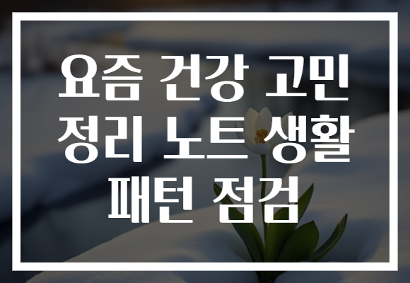 요즘 건강 고민 정리 노트 생활 패턴 점검