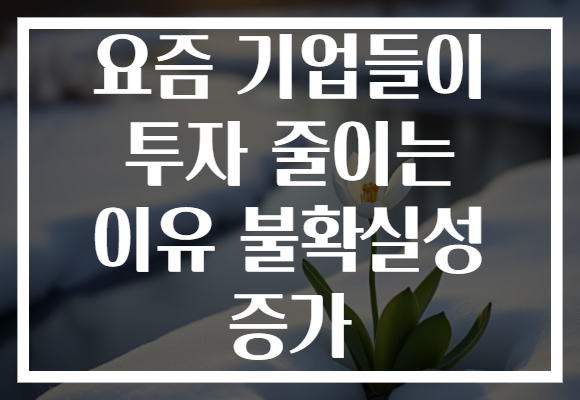 요즘 기업들이 투자 줄이는 이유 불확실성 증가