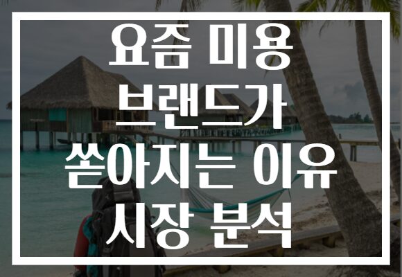 요즘 미용 브랜드가 쏟아지는 이유 시장 분석