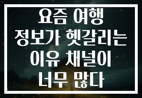 요즘 여행 정보가 헷갈리는 이유 채널이 너무 많다