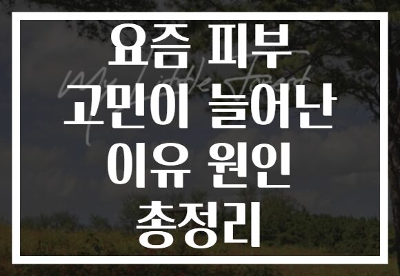 요즘 피부 고민이 늘어난 이유 원인 총정리