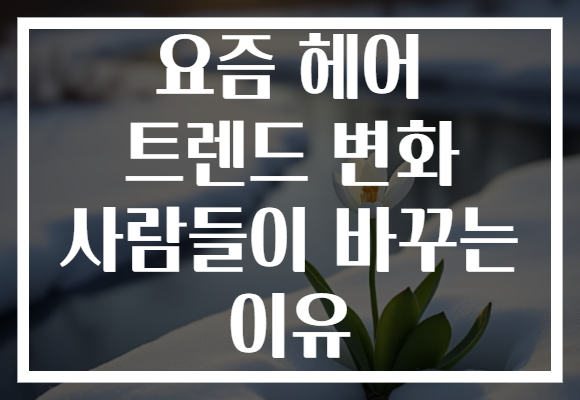 요즘 헤어 트렌드 변화 사람들이 바꾸는 이유