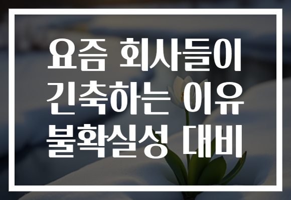 요즘 회사들이 긴축하는 이유 불확실성 대비