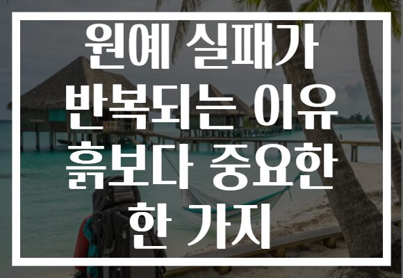원예 실패가 반복되는 이유 흙보다 중요한 한 가지