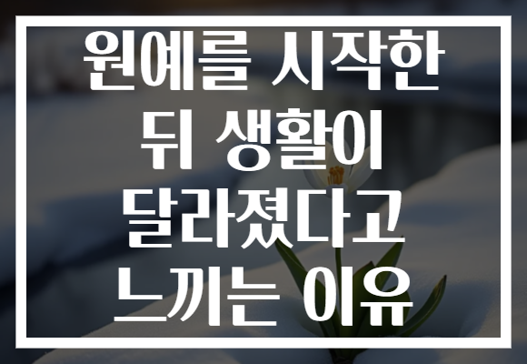 원예를 시작한 뒤 생활이 달라졌다고 느끼는 이유