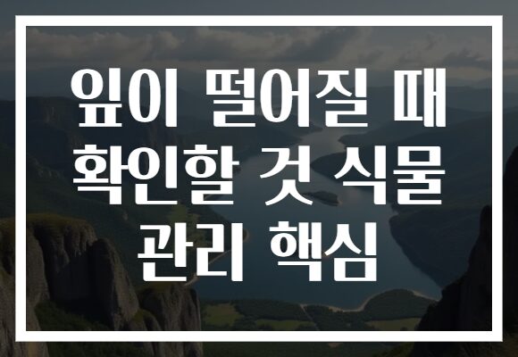 잎이 떨어질 때 확인할 것 식물 관리 핵심
