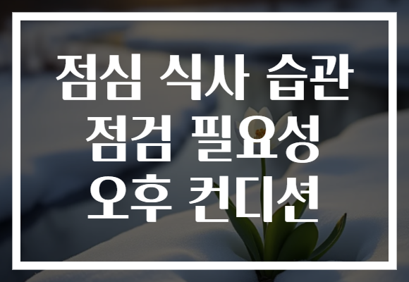 점심 식사 습관 점검 필요성 오후 컨디션