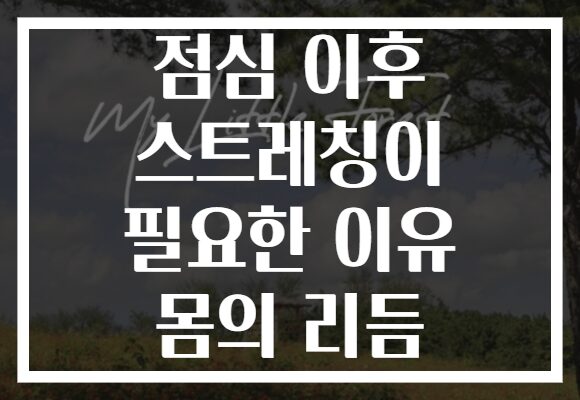 점심 이후 스트레칭이 필요한 이유 몸의 리듬