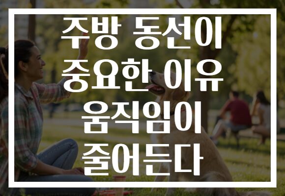 주방 동선이 중요한 이유 움직임이 줄어든다