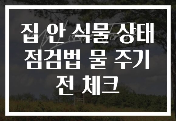 집 안 식물 상태 점검법 물 주기 전 체크