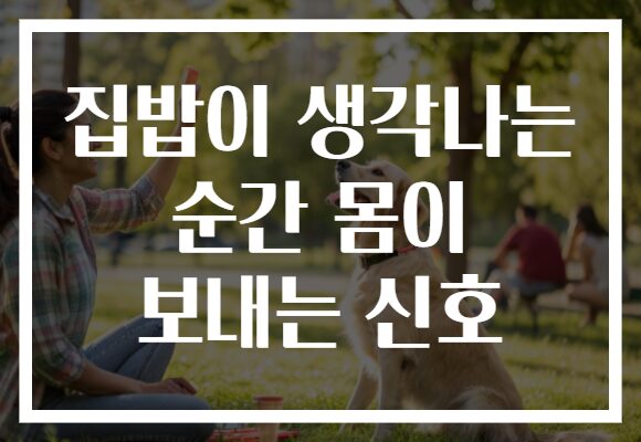 집밥이 생각나는 순간 몸이 보내는 신호