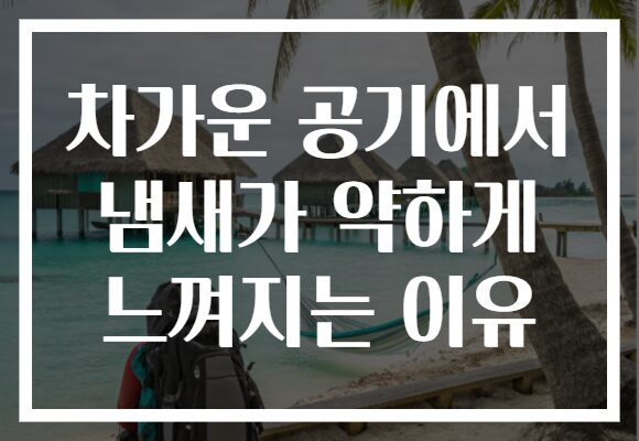 차가운 공기에서 냄새가 약하게 느껴지는 이유