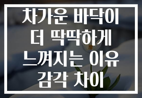 차가운 바닥이 더 딱딱하게 느껴지는 이유 감각 차이