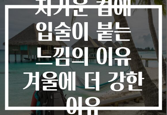 차가운 컵에 입술이 붙는 느낌의 이유 겨울에 더 강한 이유