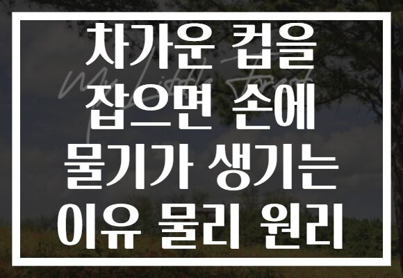 차가운 컵을 잡으면 손에 물기가 생기는 이유 물리 원리