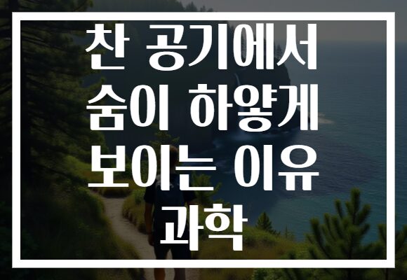 찬 공기에서 숨이 하얗게 보이는 이유 과학