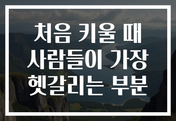 처음 키울 때 사람들이 가장 헷갈리는 부분