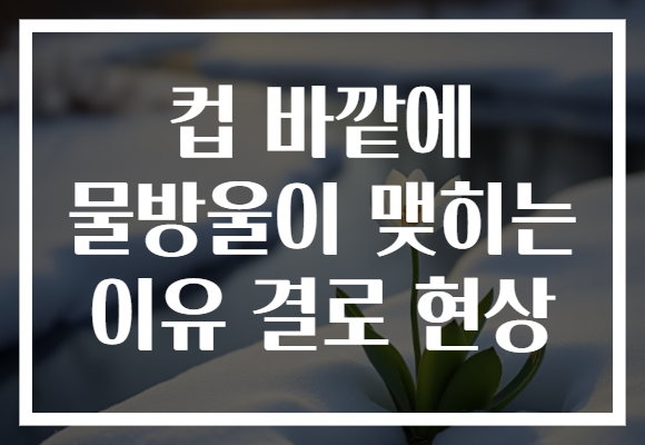 컵 바깥에 물방울이 맺히는 이유 결로 현상