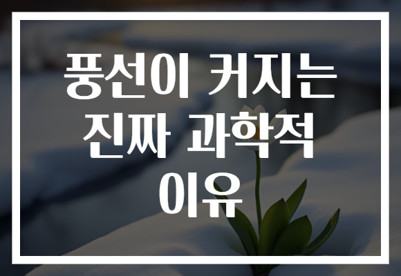풍선이 커지는 진짜 과학적 이유