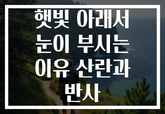 햇빛 아래서 눈이 부시는 이유 산란과 반사