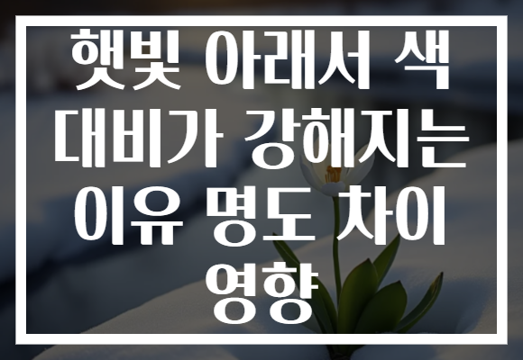 햇빛 아래서 색 대비가 강해지는 이유 명도 차이 영향