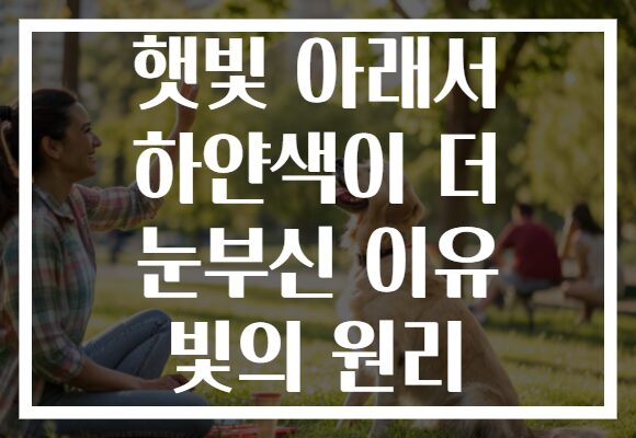 햇빛 아래서 하얀색이 더 눈부신 이유 빛의 원리