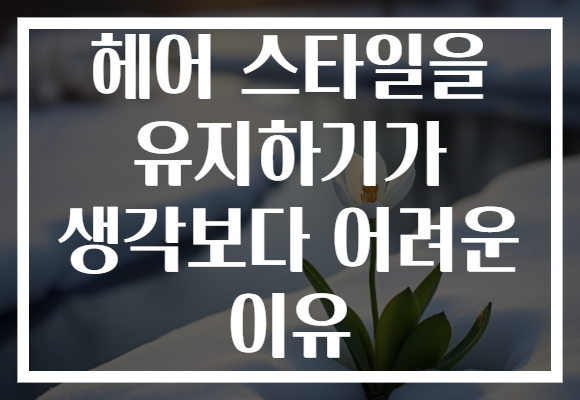 헤어 스타일을 유지하기가 생각보다 어려운 이유