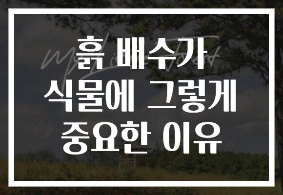 흙 배수가 식물에 그렇게 중요한 이유