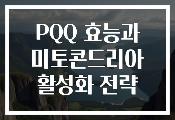 PQQ 효능과 미토콘드리아 활성화 전략