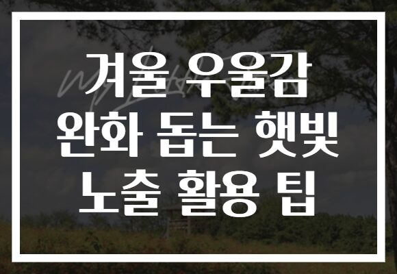 겨울 우울감 완화 돕는 햇빛 노출 활용 팁