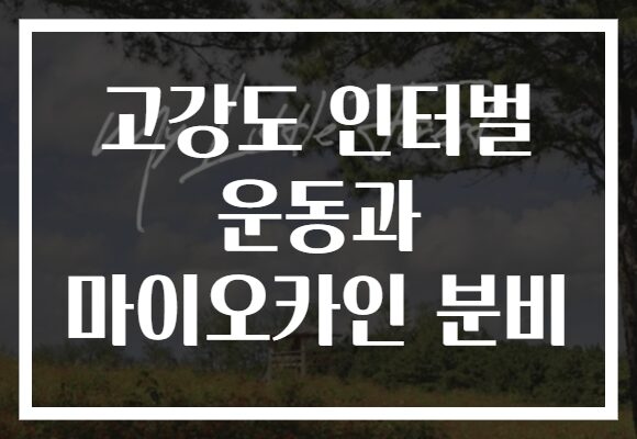 고강도 인터벌 운동과 마이오카인 분비