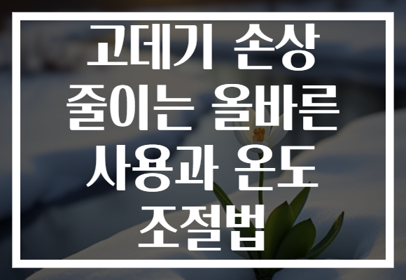 고데기 손상 줄이는 올바른 사용과 온도 조절법