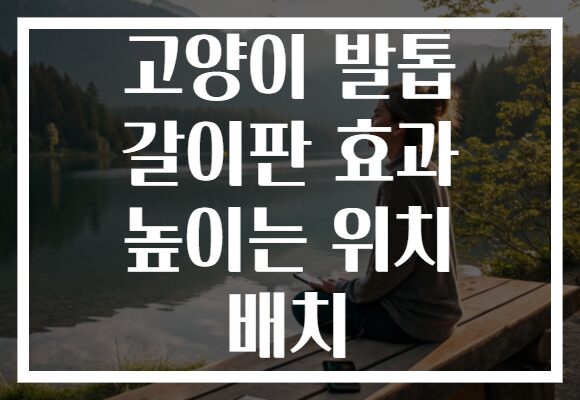 고양이 발톱 갈이판 효과 높이는 위치 배치