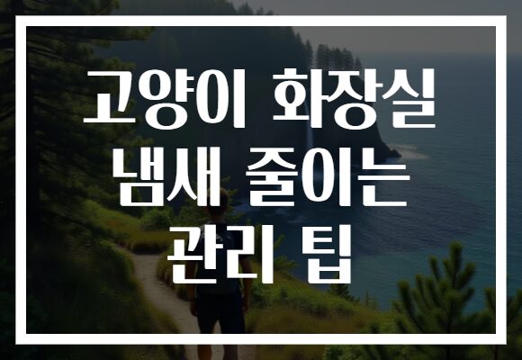 고양이 화장실 냄새 줄이는 관리 팁