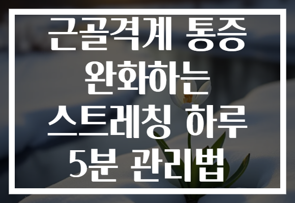 근골격계 통증 완화하는 스트레칭 하루 5분 관리법