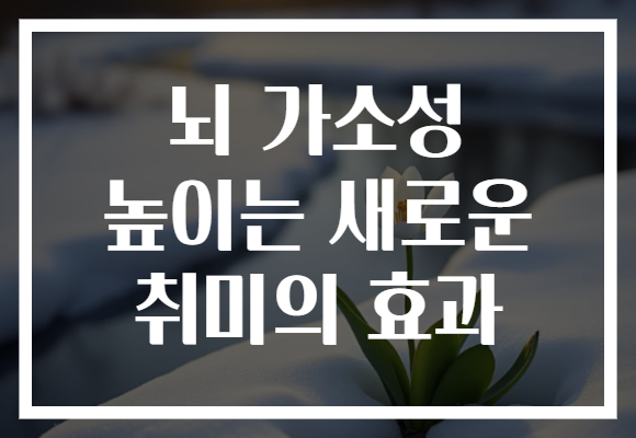 뇌 가소성 높이는 새로운 취미의 효과