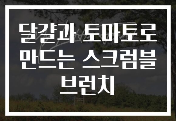 달걀과 토마토로 만드는 스크럼블 브런치