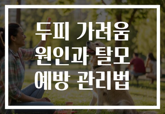 두피 가려움 원인과 탈모 예방 관리법