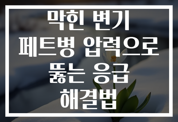 막힌 변기 페트병 압력으로 뚫는 응급 해결법