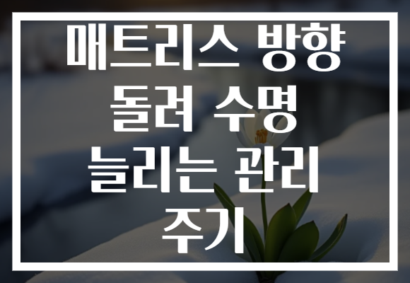 매트리스 방향 돌려 수명 늘리는 관리 주기